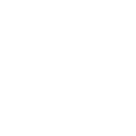 Your Line Art Design